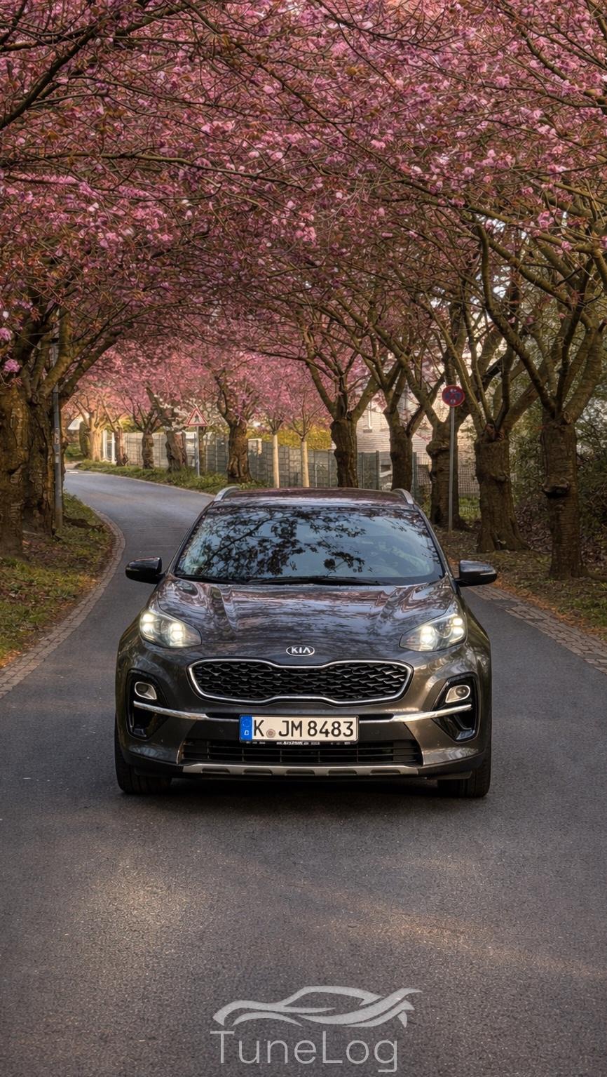 sportage