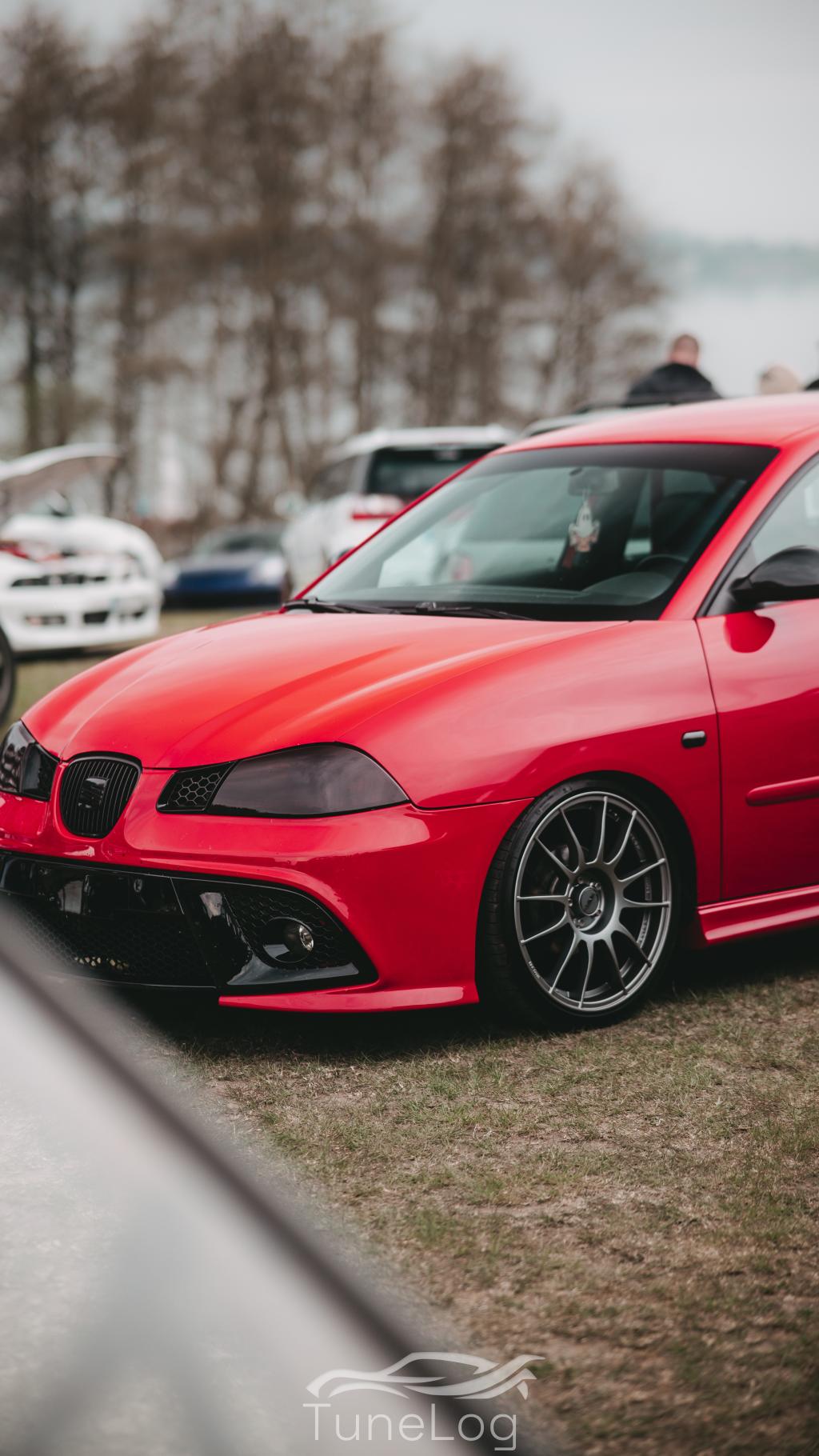 Seat ibiza 6l