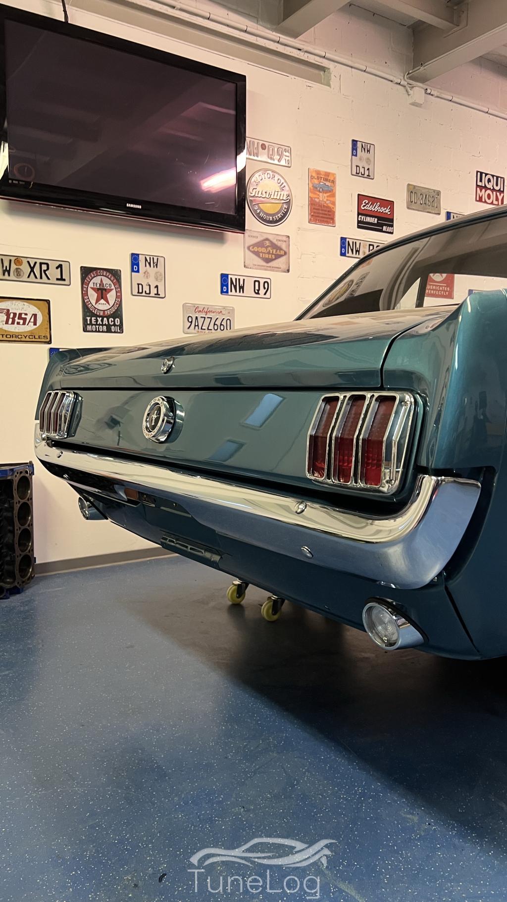 Mustang