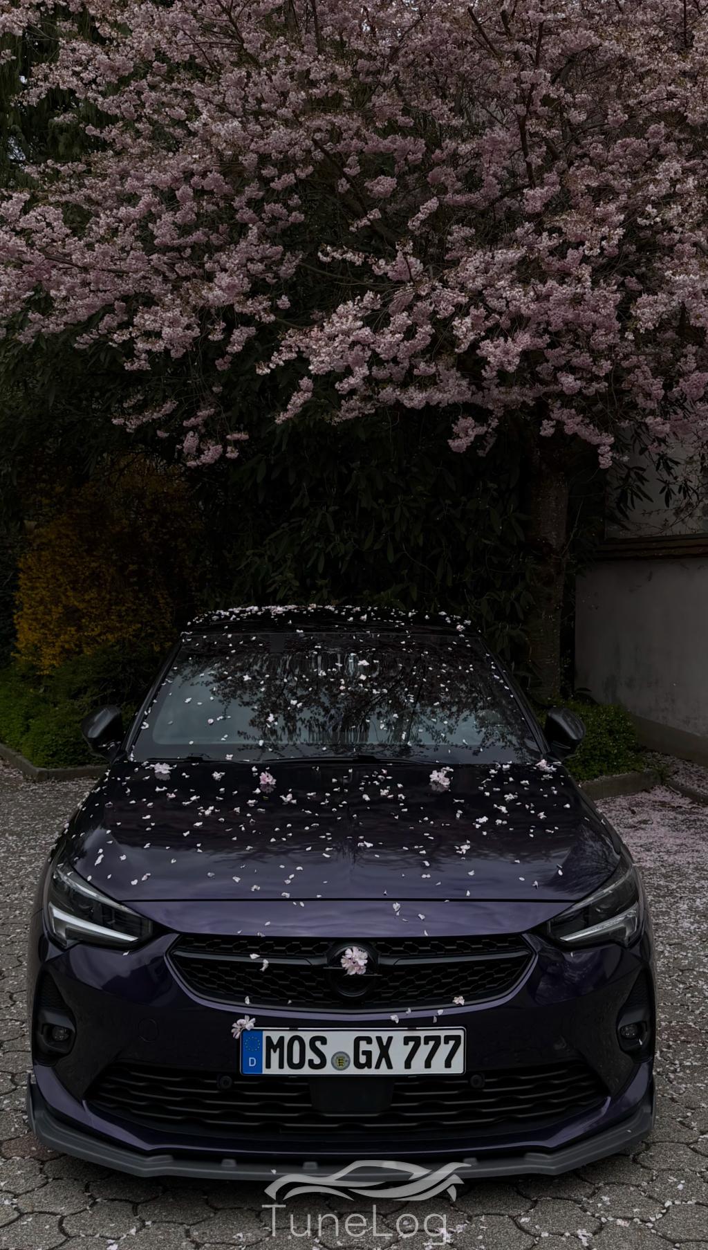 Corsa f Gs line